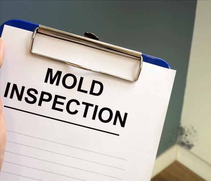 mold inspection sheet on a clipboard