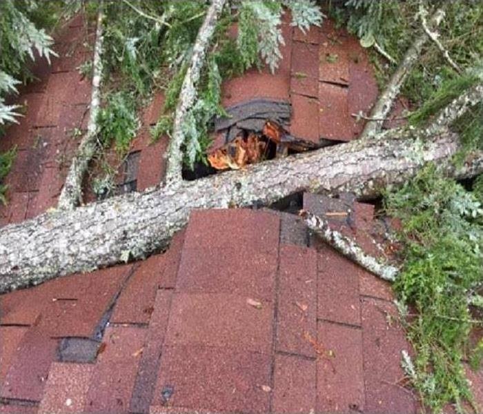 A tree on the roof of this home after a storm